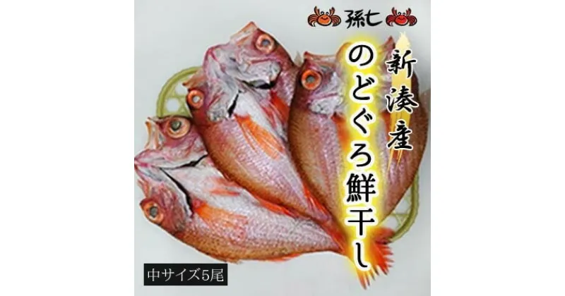 【ふるさと納税】【新湊産】のどぐろ鮮干し（中サイズ4/6尾）　魚貝類 のどぐろ 干物 のどぐろ鮮干し ノドグロ　お届け：※出漁・水揚げ状況により、発送までお時間をいただく場合があります。