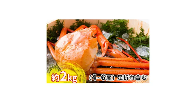 【ふるさと納税】紅ズワイガニ約2kg（4～6尾）【棚辺水産】　ずわい蟹 ずわいガニ ズワイガニ　お届け：2024年9月中旬から2025年3月下旬　※発送まで1か月以上かかる場合があります。