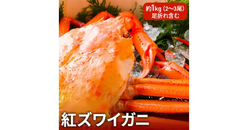 【ふるさと納税】【おすすめ】紅ズワイガニ約1kg（2～3尾）【棚辺水産】　ずわい蟹 ずわいガニ ズワイガニ　お届け：2024年9月中旬から2025年3月下旬　※発送まで1か月以上かかる場合があります。