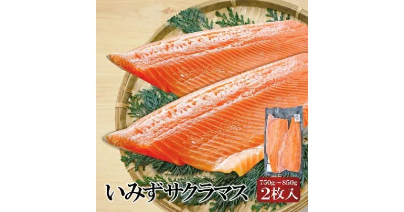 【ふるさと納税】魚 鮭 切身 いみずサクラマス 2枚入(約750g～約850g)おつまみ 弁当 サーモン グルメ 食品/富山県射水市　魚介類 魚 サクラマス 安心 安全 業務用 高級魚 桜色