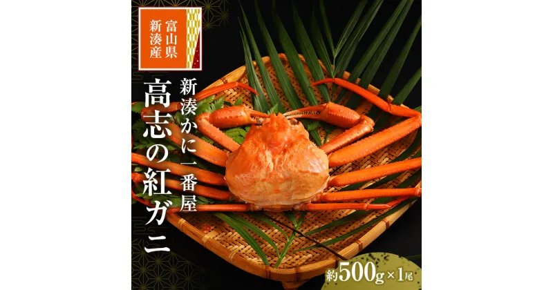 【ふるさと納税】新湊かに一番屋【お薦め】高志の紅ガニ500g ズワイガニ 紅ずわいがに カニ 蟹 富山県 射水市　お届け：2024年9月中旬～2025年4月末