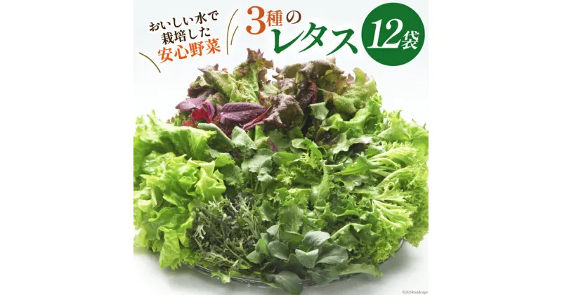 【ふるさと納税】富山のおいしい水で生産した安心野菜（12袋）[北陸機材 富山県 舟橋村 57050150] 野菜 野菜セット フラワーリーフ フリルレタス マルチレタス 水耕栽培