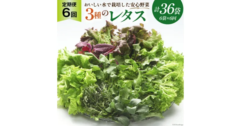 【ふるさと納税】【6回定期便】富山のおいしい水で生産した安心野菜（6袋）[北陸機材 富山県 舟橋村 57050149] 野菜 野菜セット フラワーリーフ フリルレタス マルチレタス 水耕栽培 定期便