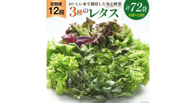 【ふるさと納税】【12回定期便】富山のおいしい水で生産した安心野菜（6袋）[北陸機材 富山県 舟橋村 57050147] 野菜 野菜セット フラワーリーフ フリルレタス マルチレタス 水耕栽培 定期便