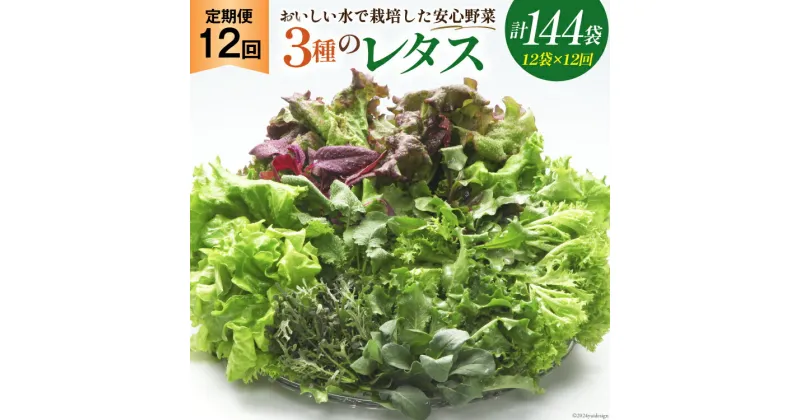 【ふるさと納税】【12回定期便】富山のおいしい水で生産した安心野菜（12袋）[北陸機材 富山県 舟橋村 57050146] 野菜 野菜セット フラワーリーフ フリルレタス マルチレタス 水耕栽培 定期便