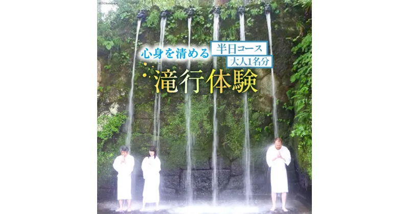 【ふるさと納税】21 滝行 体験 半日コース 大人1名分 チケット [上市町観光協会 富山県 上市町 32280166] 食事 付き 旅行 旅行券