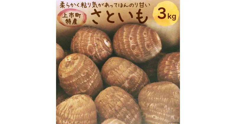 【ふるさと納税】 先行予約 上市町産 さといも 3kg [里山の駅 つるぎの味蔵 富山県 上市町 32280010] 里芋 サトイモ 野菜 美味しい 特産品