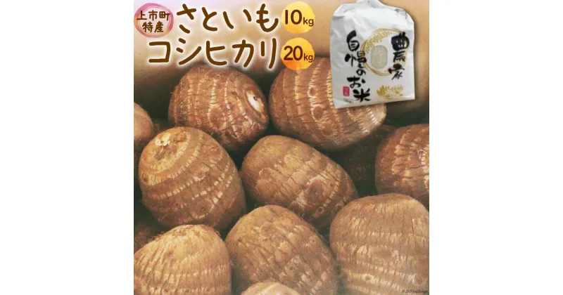 【ふるさと納税】 先行予約 コシヒカリ 20kg さといも 10kg 詰め合わせ [里山の駅 つるぎの味蔵 富山県上市町 32280019] 米 こしひかり 精米 白米 里芋 サトイモ 野菜 美味しい 特産品