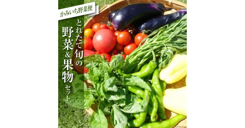 【ふるさと納税】かみいち野菜便 / 里山の駅 つるぎの味蔵 / 富山県 上市町 [32280128] 野菜 フルーツ 果物 くだもの 季節の野菜 旬 食べ比べ 詰め合わせ セット