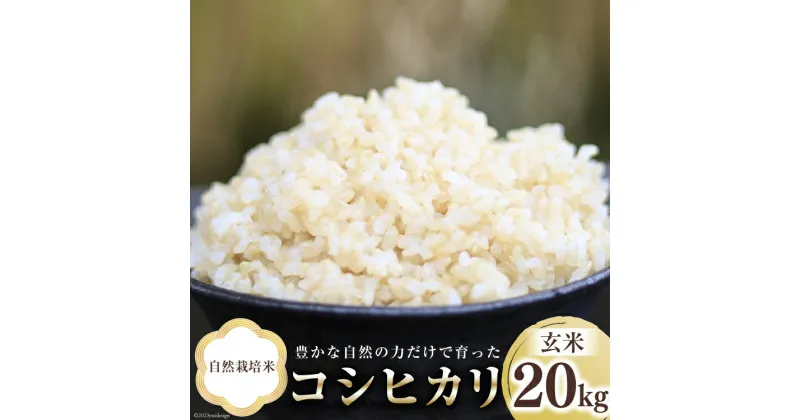 【ふるさと納税】米 富山県産 自然栽培米 コシヒカリ 玄米 20kg (10kg×2袋) [ 3ways 富山県 上市町 32280147 ] お米 コメ ご飯 ごはん 玄米ご飯 玄米ごはん こしひかり