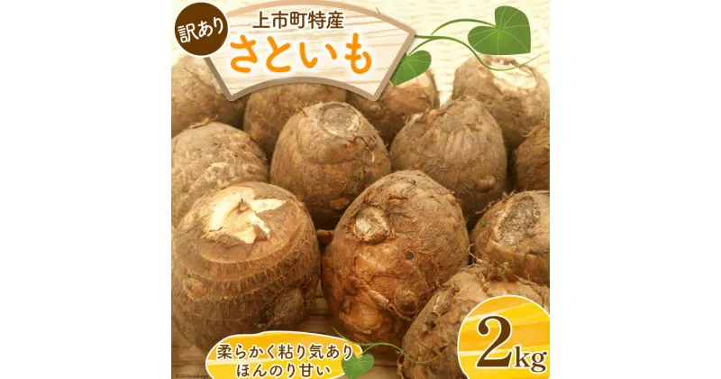 【ふるさと納税】【訳あり】上市特産品 規格外 里芋 2kg [里山の駅つるぎの味蔵(ティー・ツリー・コミュニケーションズ) 富山県 上市町 32280188 ] さといも サトイモ おでん 煮物 豚汁 傷あり