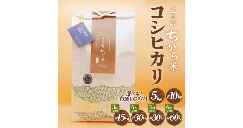 【ふるさと納税】＼選べる容量・回数／ 立山のちから米 コシヒカリ 5kg or 10kg(5kg×2袋) 1回 3回 6回 定期便 こしひかり 銘柄米 ブランド米 国産 米 お米 日本米 ギフト 贈り物 備蓄 防災 食品 F6T-536var