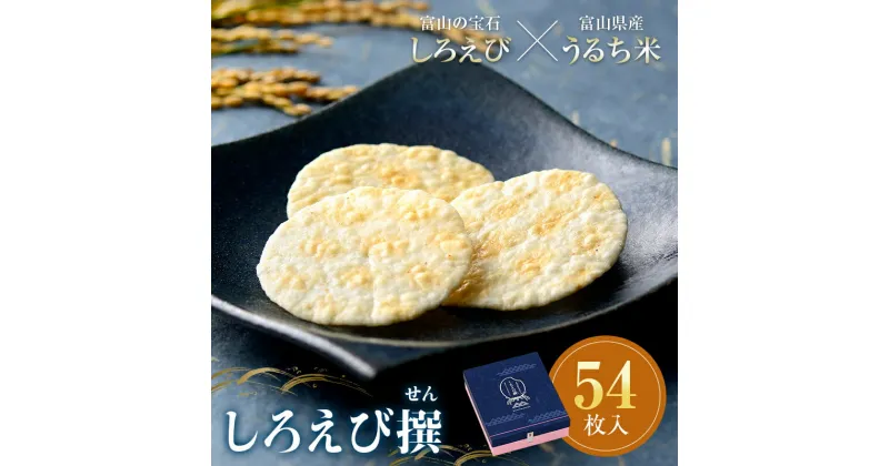 【ふるさと納税】しろえびせんべいプレミアム しろえび撰 54枚入り 薄焼きせんべい 煎餅 せんべい 個包装 しろえび 白エビ 薄焼き ギフト お茶菓子 お茶請け おやつ 国産 食品 日の出屋製菓産業 F6T-001