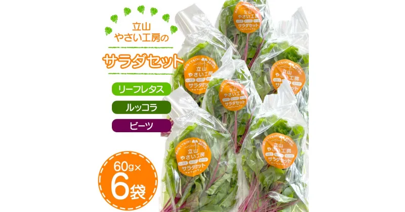 【ふるさと納税】立山やさい工房のサラダセット 60g×6袋 農薬不使用 水耕栽培 新鮮 野菜 サラダ 小分け リーフレタス ルッコラ ビーツ セット 冷蔵 国産 食品 立山やさい工房 F6T-088