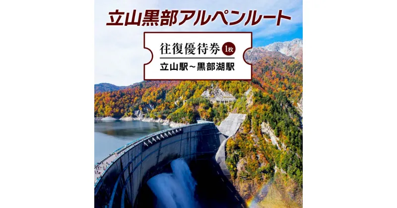 【ふるさと納税】立山黒部アルペンルート 往復優待券 1枚 (立山駅〜黒部湖駅) 往復 優待券 優待チケット 立山黒部観光 立山駅 黒部湖駅 山岳観光 アルペンルート 旅行 トラベル 観光 レジャー 優待 チケット F6T-155