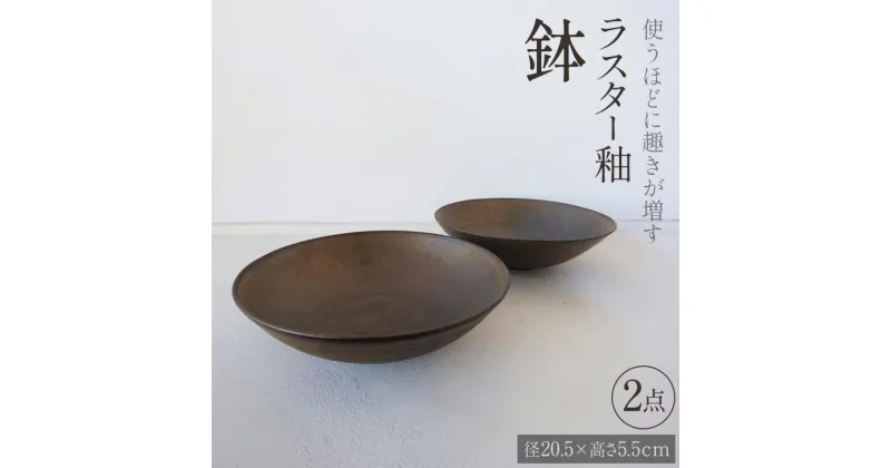 【ふるさと納税】使うほどに趣きが増す ラスター釉 鉢 2点 (径20.5×高さ5.5cm) 器 皿 食器 2枚 セット potter 佐藤みどり F6T-108