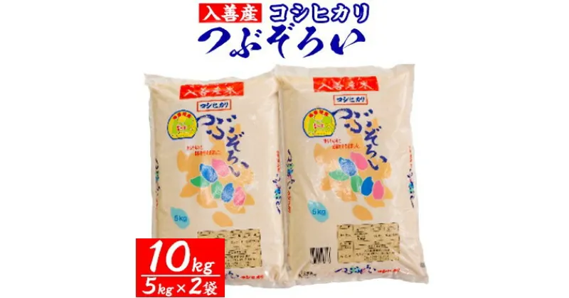 【ふるさと納税】【令和6年産】入善産コシヒカリ10kg【1212921】