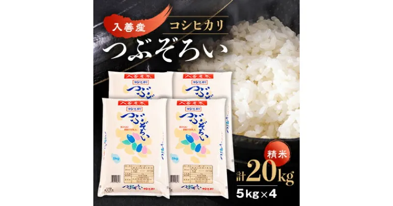 【ふるさと納税】【令和6年産】入善産コシヒカリ20kg【1212928】