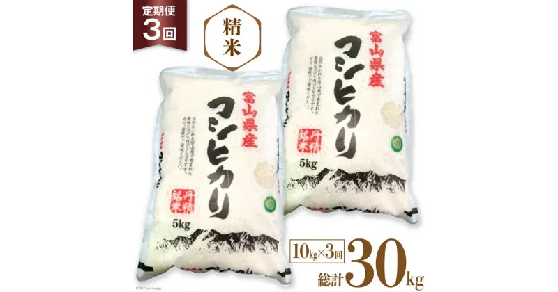 【ふるさと納税】3回 定期便 お米 コシヒカリ 精米 10kg×3回 総計30kg [サンライス青木 富山県 朝日町 34310425] 米 ごはん 白米 こしひかり 富山県産 30キロ