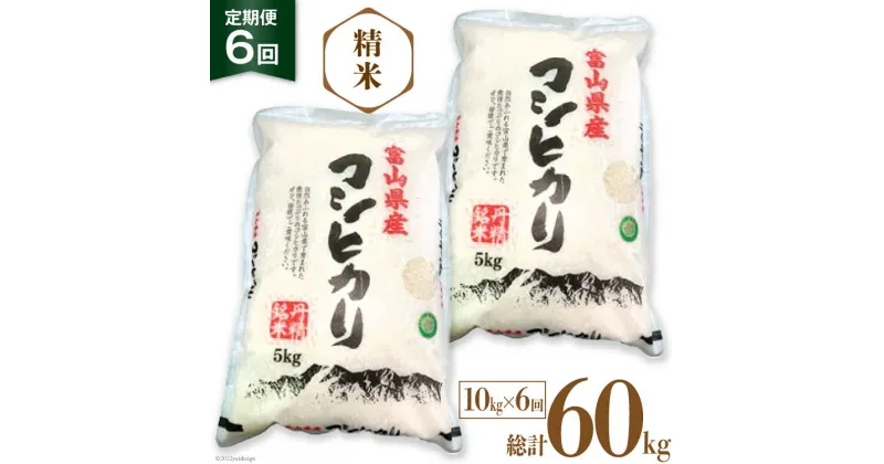 【ふるさと納税】6回 定期便 お米 コシヒカリ 精米 10kg×6回 総計60kg [サンライス青木 富山県 朝日町 34310426] 米 ごはん 白米 こしひかり 富山県産 60キロ