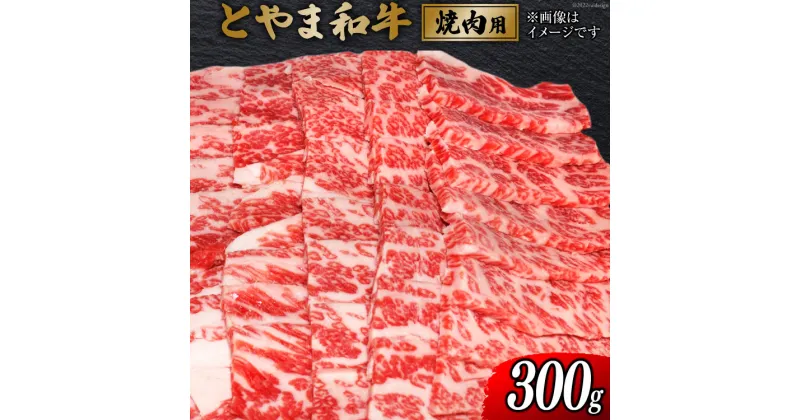 【ふるさと納税】 牛肉 とやま和牛 焼肉用 300g [JAみな穂 富山県 朝日町 34310364] 和牛 肉 焼肉 焼き肉 肩ロース A4ランク以上 朝日町産 冷凍