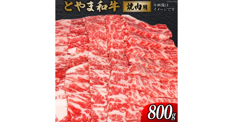 【ふるさと納税】 牛肉 とやま和牛 焼肉用 800g [JAみな穂 富山県 朝日町 34310366] 和牛 肉 焼肉 焼き肉 肩ロース A4ランク以上 朝日町産 冷凍