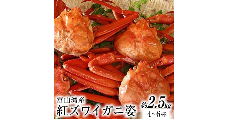 【ふるさと納税】富山湾産 紅 ズワイガニ 姿 ボイル 約2.5kg（4～6杯） [寺田鮮魚店 富山県 朝日町 34310445] かに カニ 蟹 かにみそ カニ味噌 蟹味噌 新鮮 冷蔵 朝捕れ