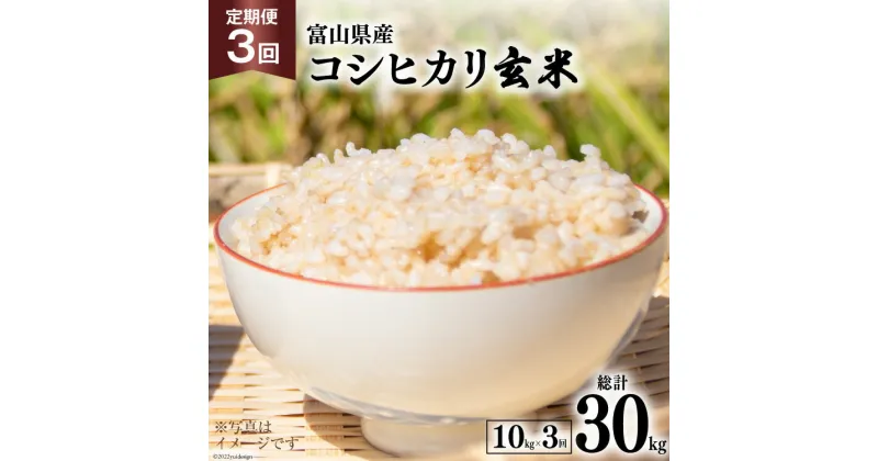 【ふるさと納税】3回 定期便 米 コシヒカリ 玄米 10kg ×3回 総計 30kg [アグリ金山 富山県 朝日町 34310433] お米 美味しい こしひかり ご飯 ごはん 富山県産 数量限定 農家 直送