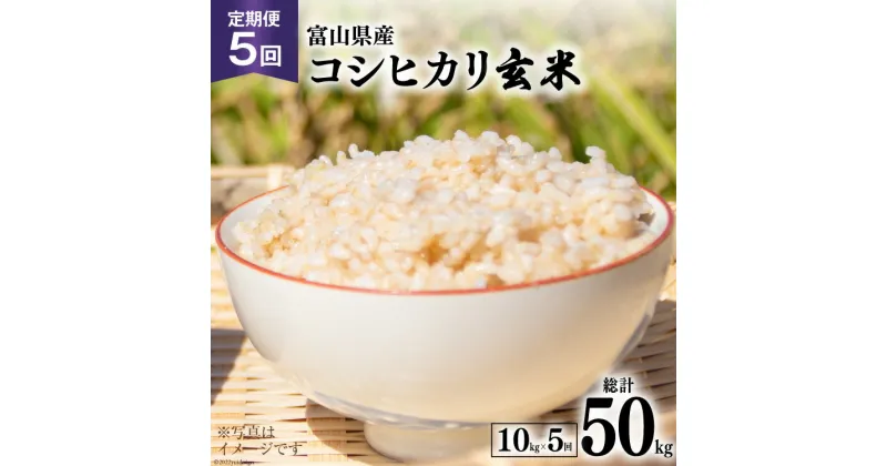 【ふるさと納税】5回 定期便 米 コシヒカリ 玄米 10kg ×5回 総計 50kg [アグリ金山 富山県 朝日町 34310434] お米 美味しい こしひかり ご飯 ごはん 富山県産 数量限定 農家 直送