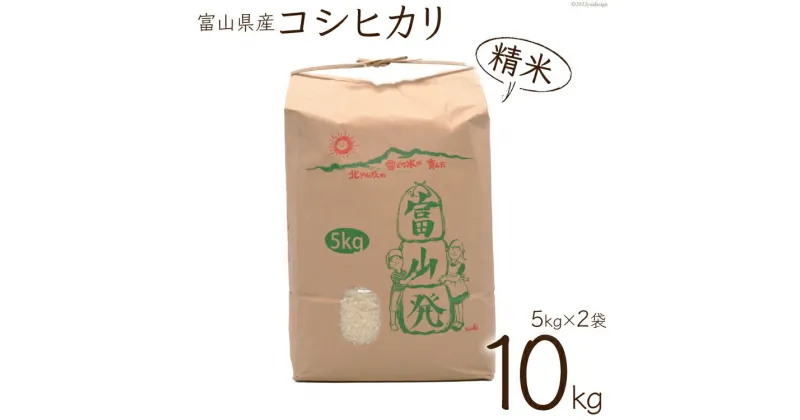 【ふるさと納税】【期間限定発送】 米 令和6年 コシヒカリ 精米 10kg ( 5kg ×2) [チュリストやまざき 富山県 朝日町 34310428] こしひかり お米 白米 ごはん 農家 直送 皇室献上 美味しい 10キロ 5キロ