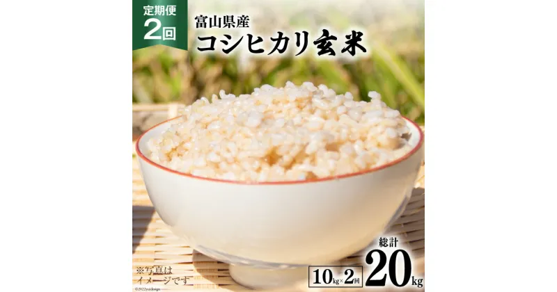 【ふるさと納税】2回 定期便 米 コシヒカリ 玄米 10kg ×2回 総計 20kg [アグリ金山 富山県 朝日町 34310432] お米 美味しい こしひかり ご飯 ごはん 富山県産 数量限定 農家 直送