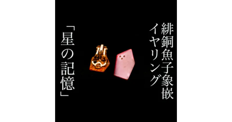 【ふるさと納税】【加賀象嵌緋銅魚子象嵌イヤリング「星の記憶」 | 石川県 金沢市 金沢 土産 ご当地 ふるさと 納税 支援 伝統 工芸 象嵌 工芸品 伝統工芸 伝統工芸品 特産品 名産品 金沢工芸品 伝統的工芸品 おすすめ イヤリング イアリング アクセサリー ジュエリー お土産