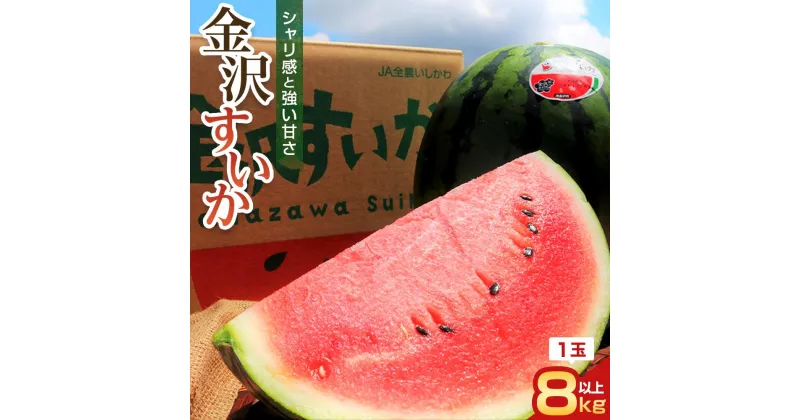 【ふるさと納税】【2025年 先行予約】JA金沢市 金沢すいか（大玉すいか）1玉 8kg以上 すいか スイカ 西瓜 フルーツ 果物 石川 金沢 加賀百万石 加賀 百万石 北陸 北陸復興 北陸支援