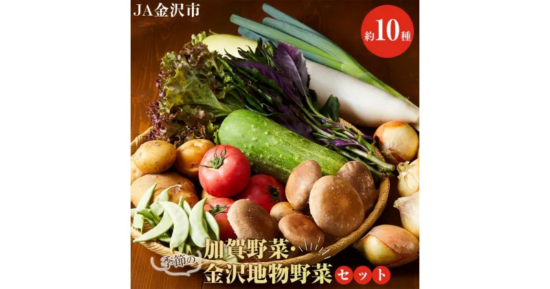 【ふるさと納税】【数量限定】JA金沢市 季節の加賀野菜・金沢地物野菜セット | 野菜 やさい 百万石しいたけ 旬の金沢地物 野菜 生野菜 食材 食品 人気 おすすめ 送料無料 産地直送