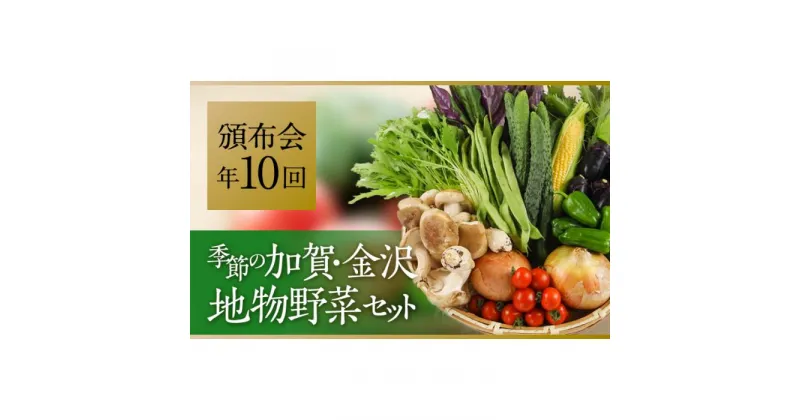 【ふるさと納税】【全10回】JA金沢市 季節の加賀野菜・金沢地物野菜セット頒布会（毎月1回）