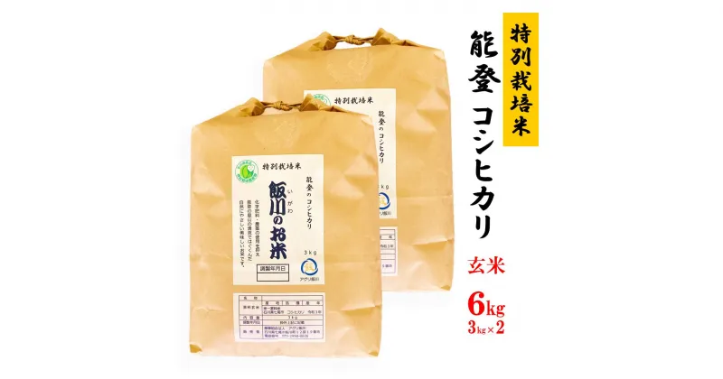 【ふるさと納税】米 玄米/能登のコシヒカリ　飯川のお米　6kg（玄米3kg×2袋）特別栽培米※2024年10月中旬～2025年3月下旬頃に順次発送予定 石川県 七尾市