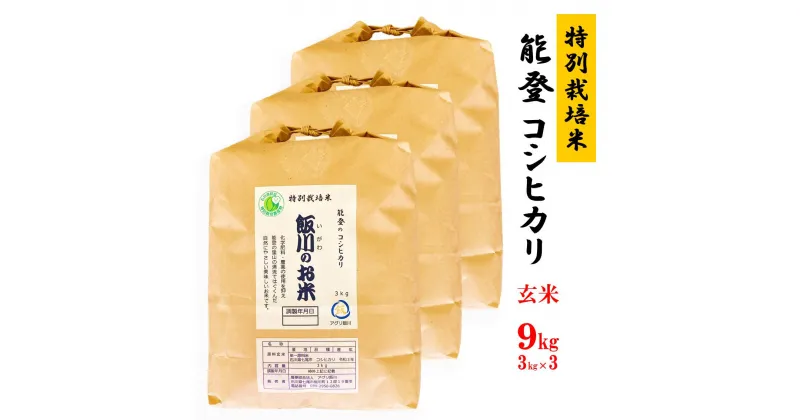 【ふるさと納税】米 玄米 /能登のコシヒカリ　飯川のお米 9kg（玄米3kg×3袋）特別栽培米※2024年10月中旬～2025年3月下旬頃に順次発送予定 石川県 七尾市