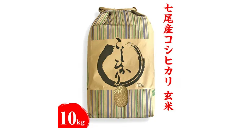 【ふるさと納税】【能登半島地震復興支援】米 玄米 10kg/七尾産コシヒカリ 玄米10kg（10Kg×1袋） ※2024年10月下旬頃から順次発送予定